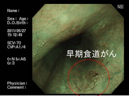 https://shibuya-ichou-clinic.com/grit/wp-content/uploads/2024/08/post_1067-7.png