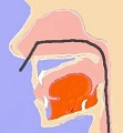 鼻からの挿入では舌が押されないので嘔吐反射がおきにくいです。